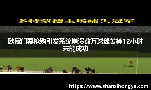 欧冠门票抢购引发系统崩溃数万球迷苦等12小时未能成功
